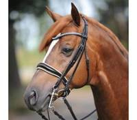 czarny/biały/lakierowany nachrapnik