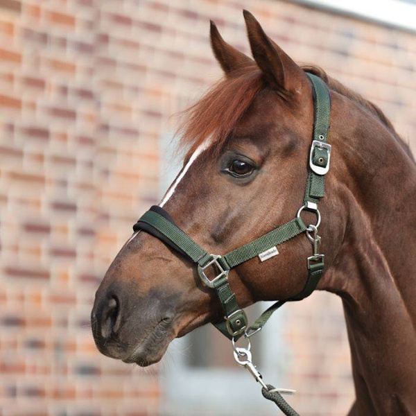 Kantar Kavalkade Classic Simple