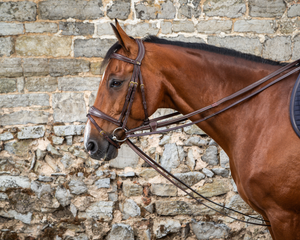 Czarna wodza skórzana Dy'on D Collection DY08A