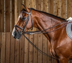 Czarna wodza skórzana Dy'on Working Collection WO08A