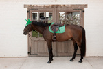 Czaprak wszechstronny Kentucky Horsewear Velvet Printing