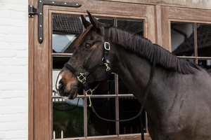 Kantar dla konia Kentucky Horsewear Plaited Nylon