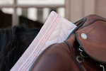Czaprak wszechstronny Kentucky Horsewear Velvet Mini Pearls