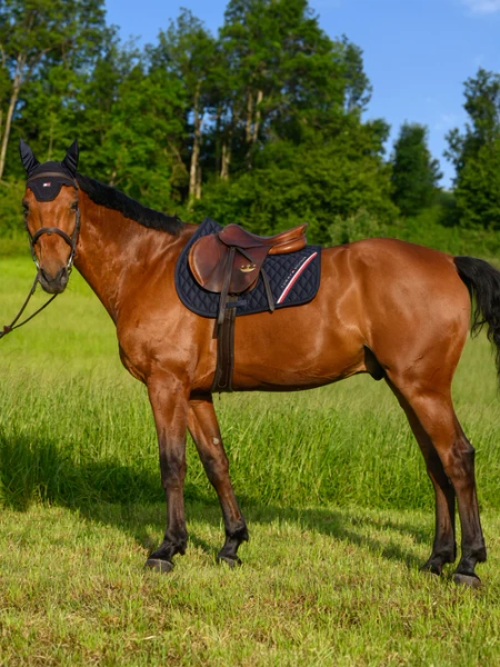 Czaprak wszechstronny TOMMY HILFIGER EQUESTRIAN Stanford