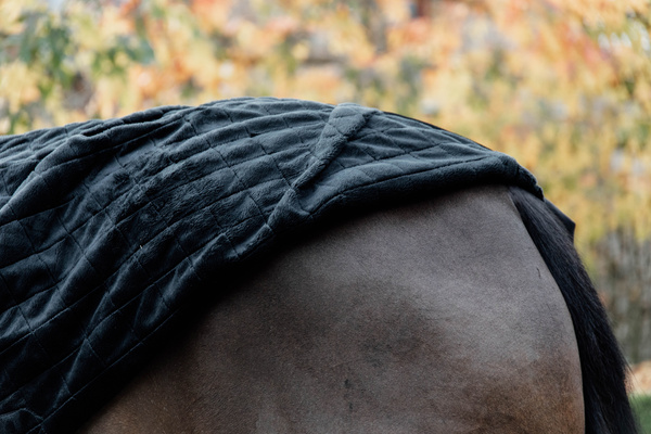 Derka stajenna Kentucky Horsewear - 0g