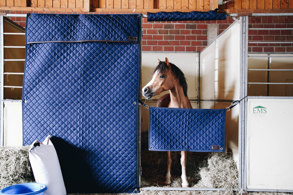 Ochraniacz na ramę drzwi boksu dla koni Kentucky Head Protector