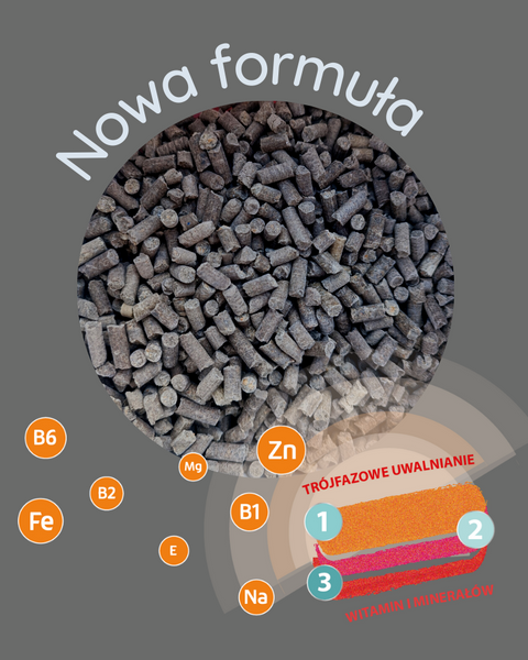 Intensywne wsparcie kości i stawów Mebio Kieselgur MSM+WITAMINA C 3kg