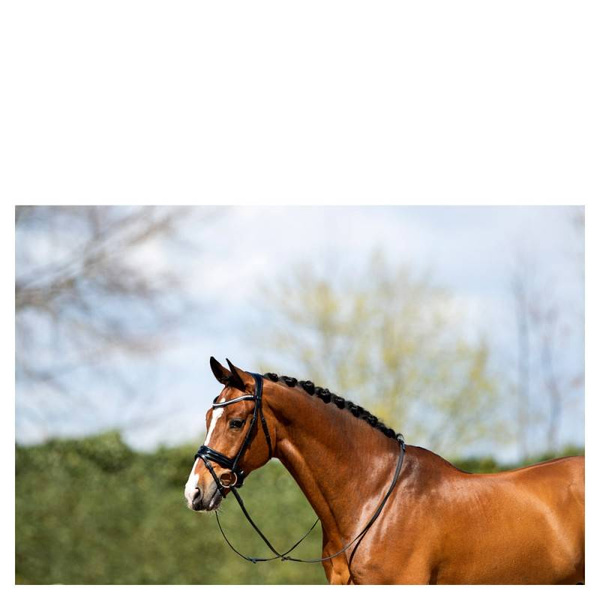 Ogłowie anatomiczne z lakierowanym nachrapnikiem szwedzkim ANKY®