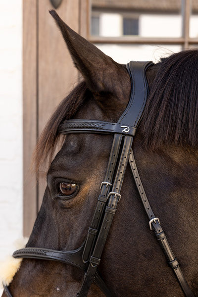 Ogłowie z nachrapnikiem meksykańskim Dy'on New EnglishCollection Plaited NEAOAV
