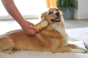 Szczotka dla psa Magic Brush