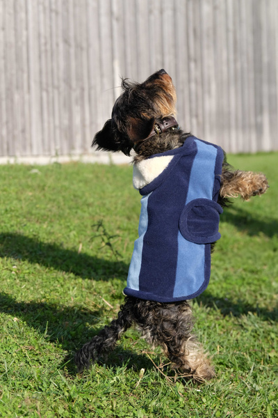 Derka polarowa dla psa EQUITHÈME Confortec