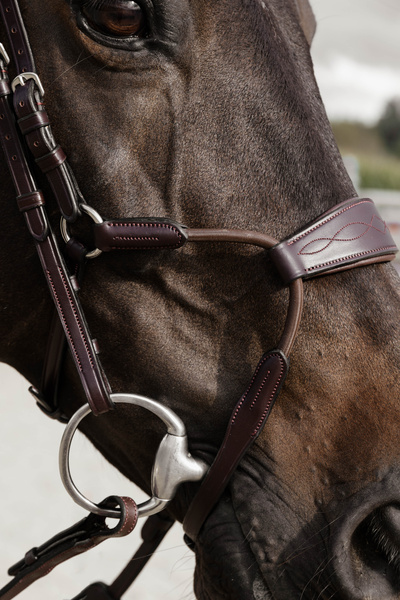 Ogłowie z nachrapnikiem przelotowym Dy'on New Collection NEABA6