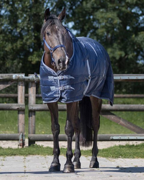 Derka stajenna QHP Start 150g