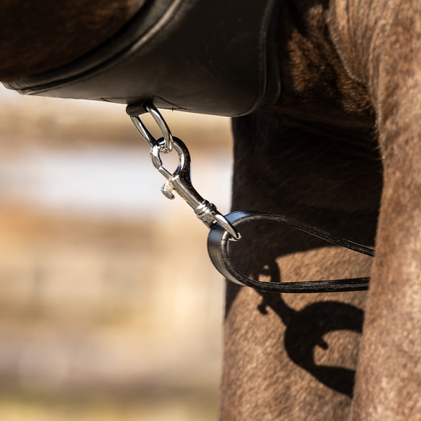 Wodze Thiedemanna QHP