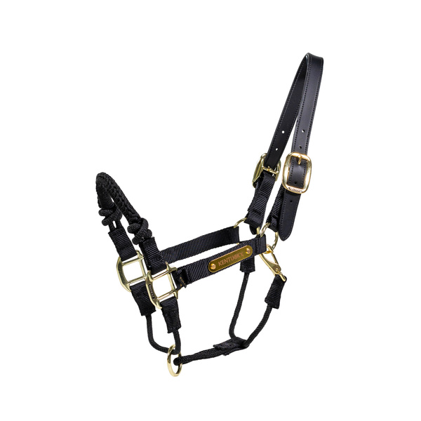Kantar dla silnych koni Kentucky Horsewear Control Halter
