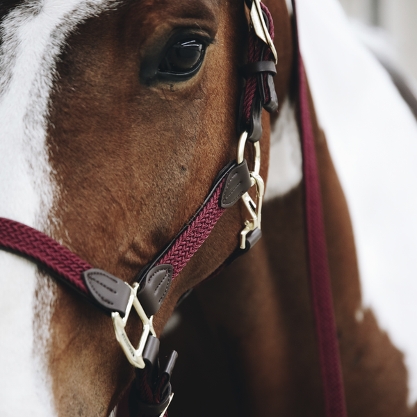 Kantar dla konia Kentucky Horsewear Plaited Nylon