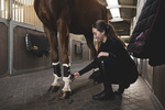 Ochraniacze treningowe Veredus TRB Save The Sheep - przody