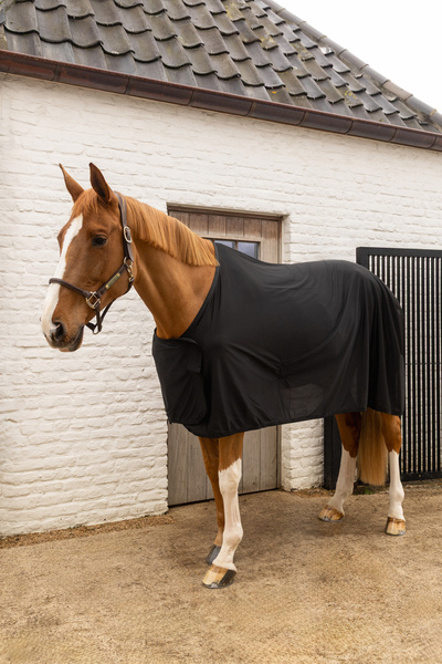 Lekka derka letnia dla koni golonych Kentucky Horsewear Summer Sheet Light