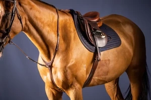 Martwy wytok Dy'on New English Collection NE07E