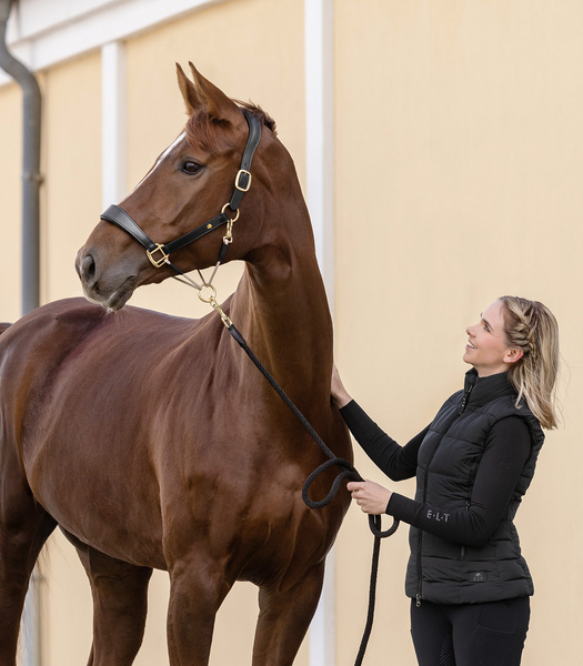 Kantar skórzano-sznurkowy Waldhausen Royal