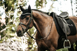 Nauszniki klasyczne Kentucky Horsewear Wellington Stone & Pearl