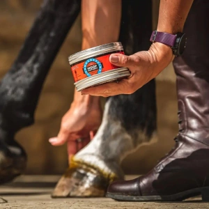 Maść przyspieszająca wzrost i regenerację kopyt Carr & Day & Martin Cornucrescine Original