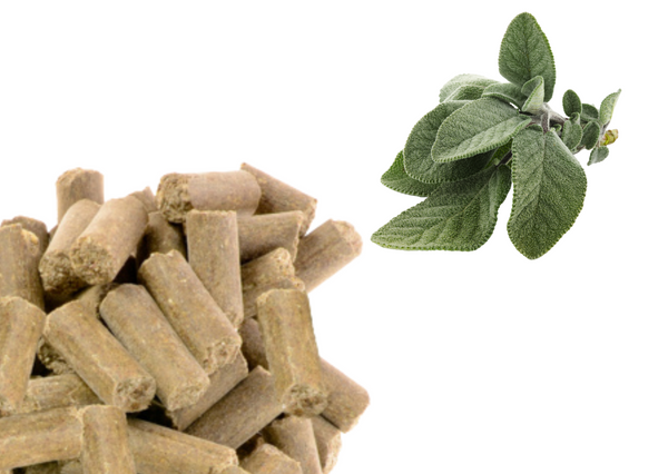 Smakołyki dla koni Equiherbs - Szałwia