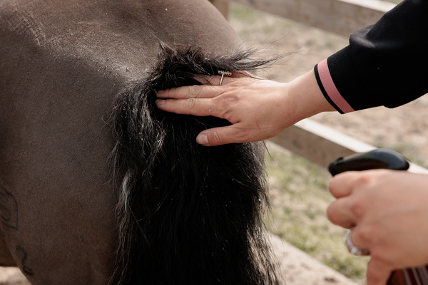Preparat pielęgnacyjny łagodzący świąd i podrażnienia skóry konia Grooming Deluxe Itch Stop Plus Spray
