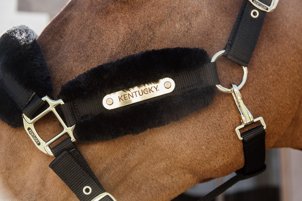 Kantar z futrem syntetycznym Kentucky Horsewear Nylon Sheepskin Halter Soft