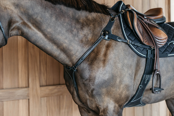 Napierśnik pięciopunktowy Dy'on D Collection DY06F