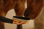 Szczotka do nabłyszczania sierści konia z naturalnego włosia końskiego Kentucky Horsewear Overall Brush Body Shine