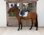 Czaprak  ujeżdżeniowy Kentucky Horsewear Velvet Printing