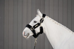 Kantar obszyty w całości syntetycznym futrem Kentucky Horsewear Sheepskin Shipping