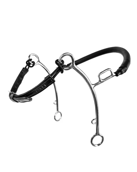 Hackamore Fager Hector