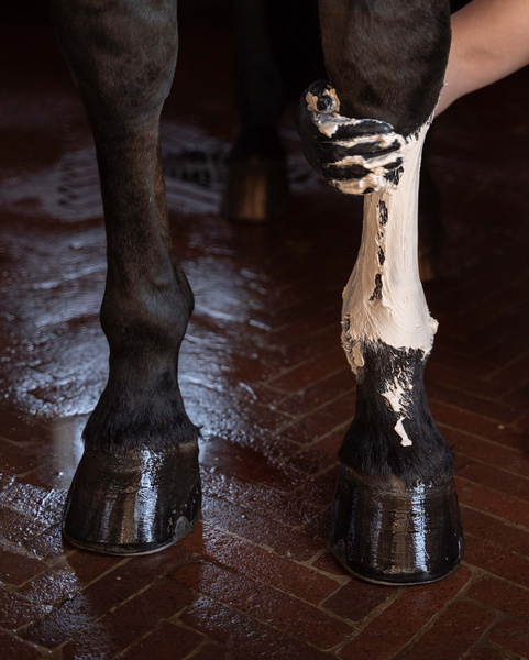 Papier do glinki chłodzącej Grooming Deluxe Horse Leg Clay Paper