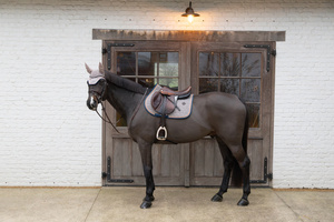 Czaprak skokowy Kentucky Horsewear Pied-de-Poule