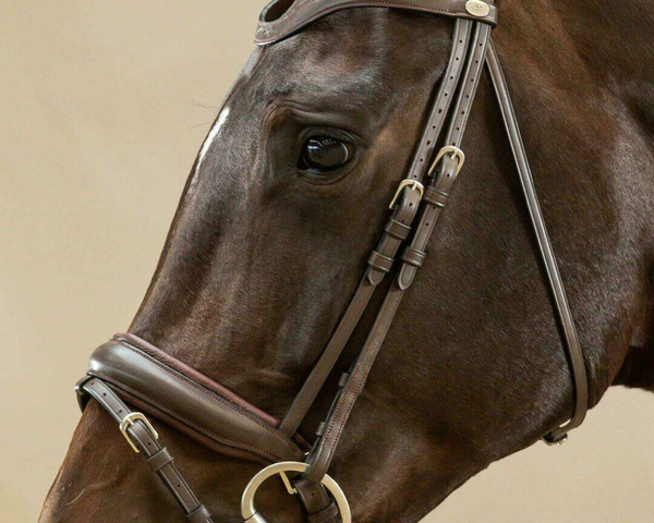 Paski policzkowe Dy'on Working Collection WO03A