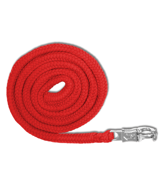 Uwiąz z bezpiecznym karabinkiem Waldhausen Economic