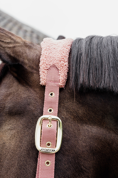 Kantar dla konia Kentucky Horsewear Teddy Fleece