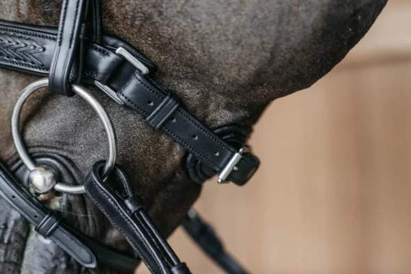 Ogłowie z nachrapnikiem szwedzkim Dy'on New English Collection NEAJAZ