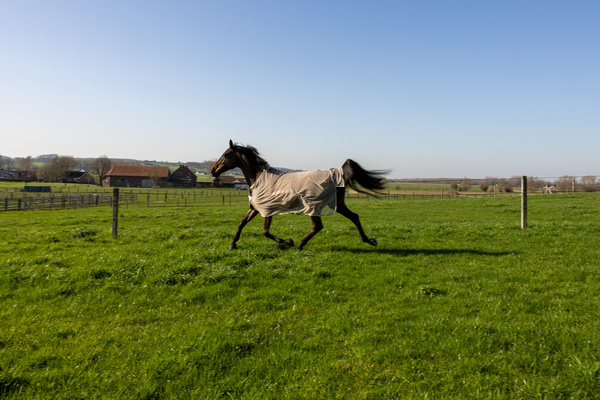 Derka siatkowa przeciw owadom z klapą na brzuch Kentucky Horsewear Fly Rug with Belly Cover Comfort