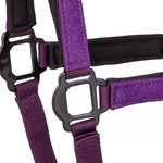 Kantar START Glitter