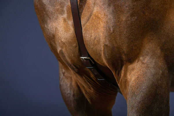 Napierśnik z mostkiem Dy'on New English Collection NE06B