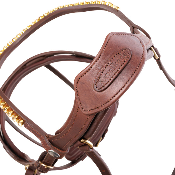 Ogłowie z nachrapnikiem kombinowanym Kavalkade Caliano