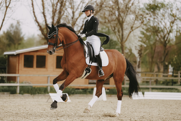 Czaprak ujeżdżeniowy Kentucky Horsewear Pearls