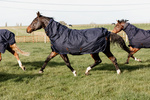 Derka padokowa z kapturem Kentucky Horsewear All Weather Quick Dry Fleece 150g