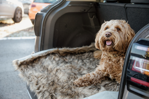 Legowisko dla psa Kentucky Dogwear Fuzzy Blanket To Go