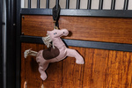 Zabawka dla konia do boksu Kentucky Horsewear 
