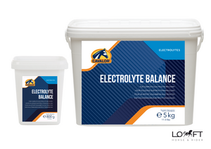 Elektrolity w proszku Cavalor Electrolyte Balance