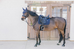 Czaprak ujeżdżeniowy Kentucky Horsewear Metal Chain